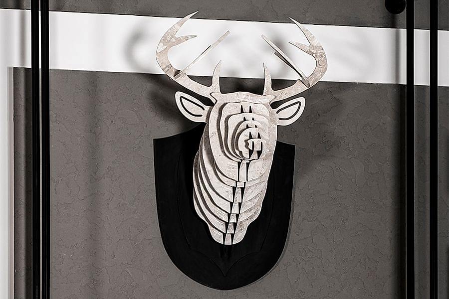 Projeleri Görüntüle